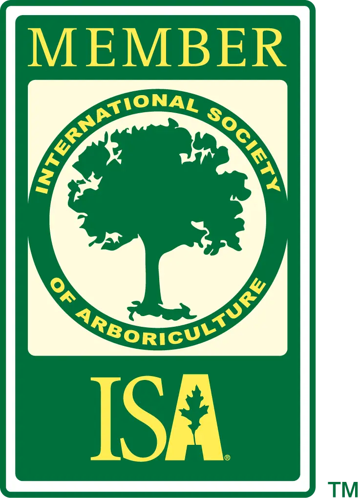 member ISA badge