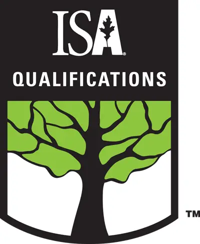 ISA qualifications badge