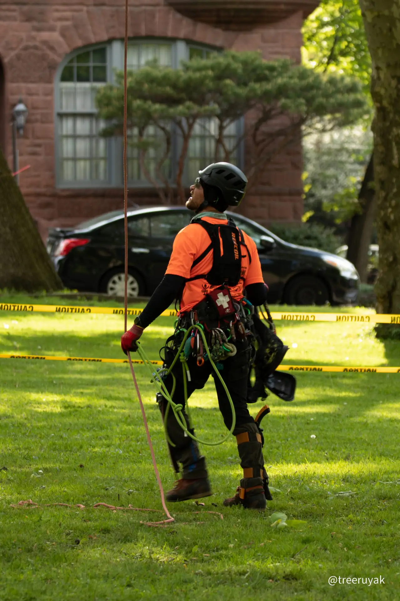 arborist with equipment looking up